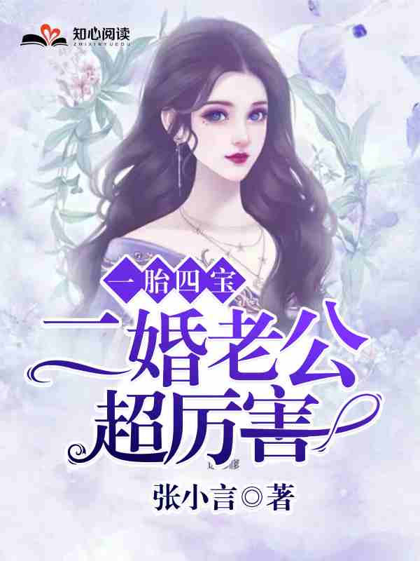一胎四宝，二婚老公超厉害小说完整版全文免费阅读