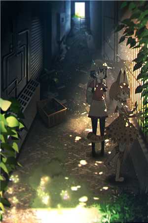 帝王侧小说