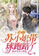 小说《盛总，苏小姐带球跑路了》在线全