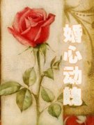 婚心动魄小说免费资源，婚心动魄在线阅