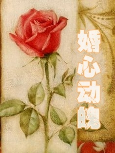 婚心动魄小说免费资源，婚心动魄在线阅读