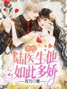 手控，陆医生他如此多娇小说，手控，陆