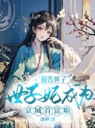 报告世子，世子妃成为京城首富啦！最新