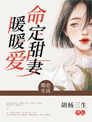 命定甜妻暖暖爱小说，命定甜妻暖暖爱全文在线阅读