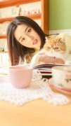 楚惊龙王语嫣(诸天万界：江湖毒手书生