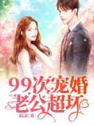《99次宠婚：老公，超坏！》小说章节列