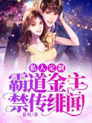 私人定制：霸道金主禁传绯闻小说，私人