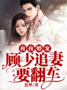 夜夜婚宠：顾少追妻要翻车小说免费资源