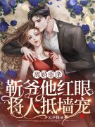 离婚重逢，靳爷他红眼将人抵墙宠苏落陆