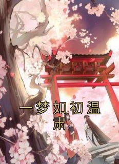 温肃宝银宝珠小说已完结|《一梦如初温肃》精彩阅读