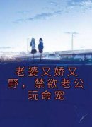 老婆又娇又野，禁欲老公玩命宠小说最新