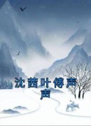 《沈茜叶傅声声》小说章节精彩阅读|沈茜