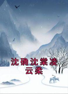 《沈确沈棠凌云柔》完结版免费阅读|《沈确沈棠凌云柔》最新章节目录