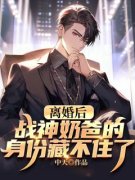 《离婚后，战神奶爸的身份藏不住了》叶
