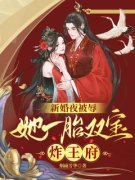 《新婚夜被辱，她一胎双宝炸王府》新书