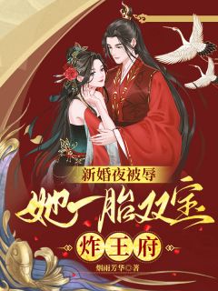 《新婚夜被辱，她一胎双宝炸王府》新书在线阅读|慕云澜楚寒霄小说无广告