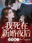 苏菀陆时晏小说无广告|《我死在新婚夜后