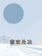《悲欢处决》新书在线阅读|林媛媛唐小梨