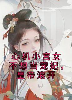 精品热文《心机小宫女不想当宠妃，皇帝滚开》苏锦周琰小说全文完整版在线阅读无删减