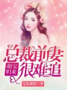 《萌娃归来：总裁前妻很难追》云暮锦叶