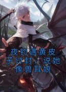 王昆黄皮子为主角的小说|王昆黄皮子是哪