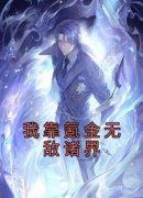 《我靠氪金无敌诸界》无广告阅读|秦易澹
