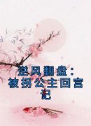 主角是沈玄霄采莲的小说逆风翻盘：被拐