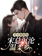 乔晚宋津南小说无广告|《乔小姐娇软，宋
