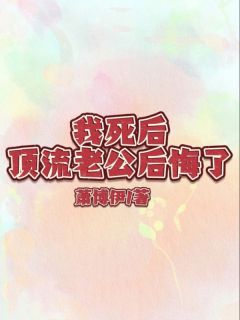 我死后，顶流老公后悔了完整版|孟安然司北屿全章节阅读