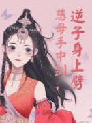 慈母手中剑，逆子身上劈林微陆宴免费阅