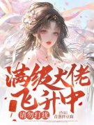 小说满级大佬飞升中，请勿打扰林予鹿黎