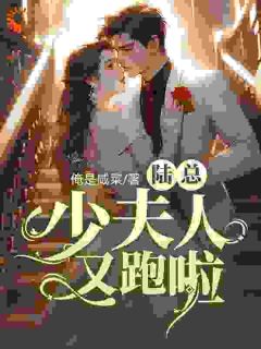 陆总，少夫人又跑啦免费试读(林洛笙陆景琛小说全本资源)|无广告