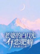 《老婆的白月光有恋肥癖》小说阅读|宋诚
