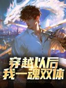 穿越以后，我一魂双体小说试读_林夜星叶
