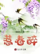 惹春醉小说全文精彩章节在线阅读（沈辞