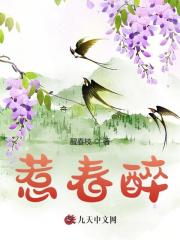 惹春醉小说全文精彩章节在线阅读（沈辞盈谢之寻）