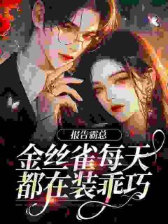 《暗里贪欢》傅婳裴闻渡小说全文免费阅读