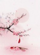 明月墨云青玉小说|生下剑神小天才后我杀