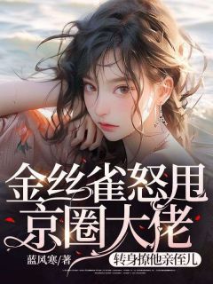 金丝雀怒甩京圈大佬，转身撩他亲侄儿主角霍明哲沈轻雨小说精彩章节全文免费试读
