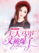 一胎三宝：夫人马甲又被爆了安潇潇凌御