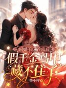 主角风之遥宗靳衍小说免费阅读|风之遥宗