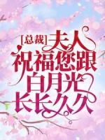 舒梅陆一默完结版|《总裁，夫人祝福您跟白月光长长久久》小说无删减