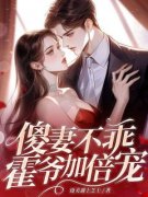 【虐心言情】小说傻妻不乖？霍爷加倍宠