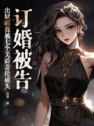 《订婚被告，出狱后我被七个美***抢破头