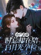 《小产丢命，时总却在陪白月光孕检》小