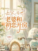 《岳父去世，老婆和初恋开房》小说章节