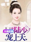 《先婚后爱：陆少宠妻上天》席时央陆少