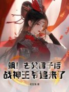 《飒！去父留子后，战神***追来了》小说
