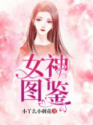 阮羲和斐野小说在线全文免费阅读（女神