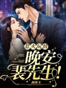 完整版《惹火玩情：晚安，裴先生！》全